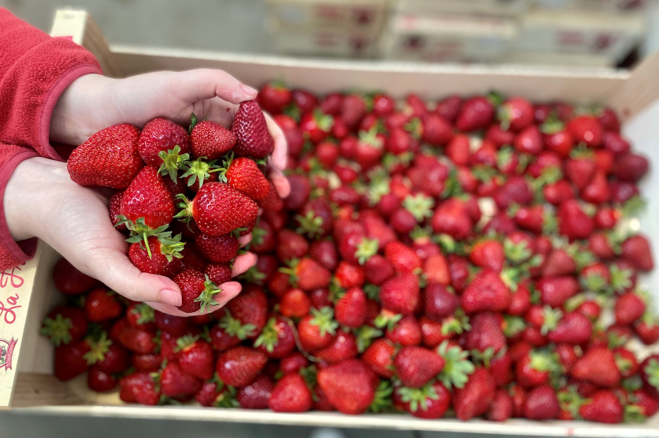 confiture de fraises de carpentras, la roumanière